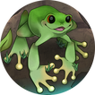 Leapfrog Dash icon