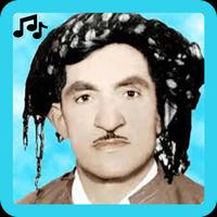 اغاني حسن زيرك2019 بدون نت-MP3 Hasan Zirak โปสเตอร์
