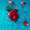 desktop wallpaper APK