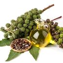 Castor Oil APK