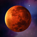 Life on Mars