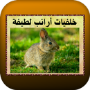 خلفيات أرانب لطيفة APK