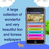 Lion lioness wallpapers poster