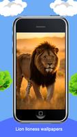 Lion lioness wallpapers screenshot 1