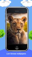 Lion lioness wallpapers screenshot 2