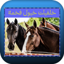 خلفيات خيول فخمة APK