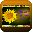 sunflower wallpapers phone APK