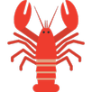 龙虾加速器-APK
