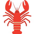 龙虾加速器 APK