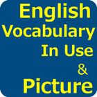 English Vocabulary In Use with Picture आइकन