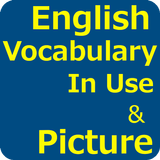 English Vocabulary In Use with Picture ikona