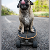 15 skateboard & longboard tips APK