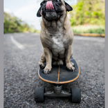 15 skateboard & longboard tips