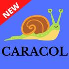 Radio Caracol en Vivo; CARACOL Radio Gratis ikon