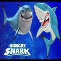 2 Hungry Shark