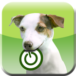 LOSTnFOUND VIRTUAL TOGGLE