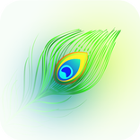 Lord Krishna Dp for WP