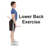 lower back exercises - spine