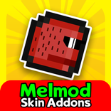 Mod for Melon Playground Skin