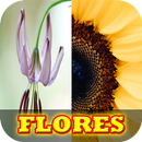 Imagenes de Flores Hermosas Gratis APK