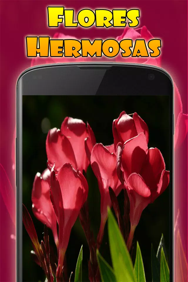  Imagenes de Flores Hermosas Gratis APK voor Android Download