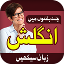 Learn English Speaking in Urdu APK