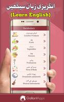 Learn English Speaking imagem de tela 3