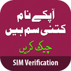 Sim Verification icono