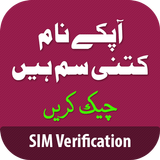 Sim Verification: SIM Info