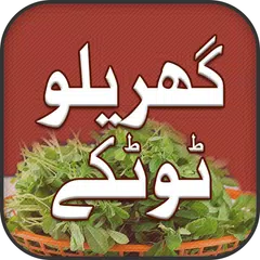 Home Remedies: Gharelu Totkay XAPK download