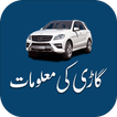 Vehicle Verification Details icône