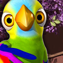 videos de lorito pepe APK
