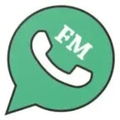 FM Story Saver