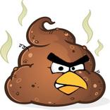 ANGRY TURDS