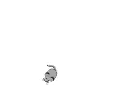 Jogos para Gatos - Ratinho Affiche