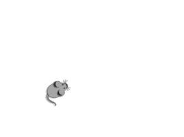 Jogos para Gatos - Ratinho capture d'écran 1