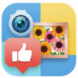 Simple Collage Layout