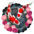 Icona Tema del pesce Lotus Koi