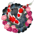 Lotus Koi Fishテーマ アイコン