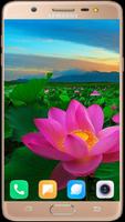 Lotus Wallpaper HD screenshot 1