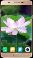 Lotus Wallpaper HD screenshot 3