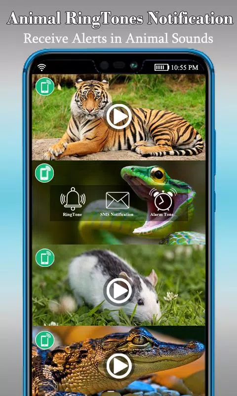 Loud Animal Ringtones – Animal APK for Android Download Loud Animal Ringtones – Animal APK for Android Download