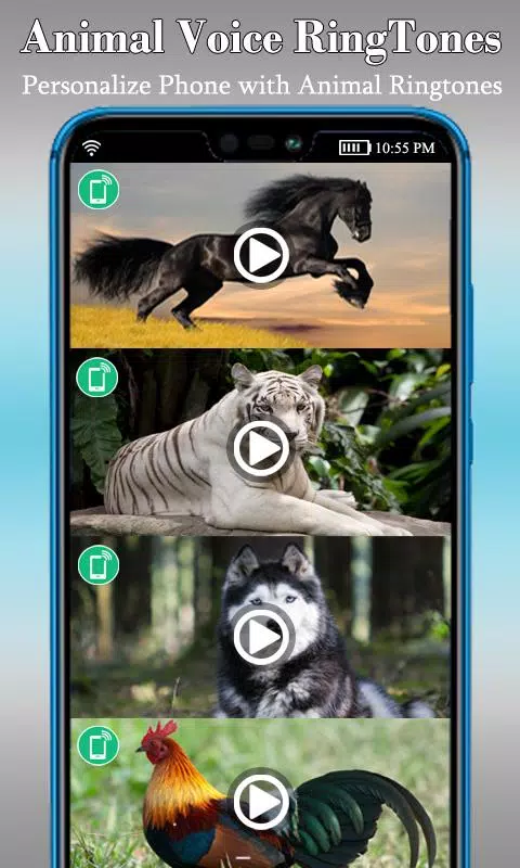 Loud Animal Ringtones – Animal APK for Android Download Loud Animal Ringtones – Animal APK for Android Download