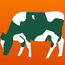 Bull Requirements post AB APK