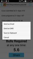 Bull Requirements post AB captura de pantalla 2