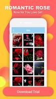 Love Rose GIF Stickers capture d'écran 1