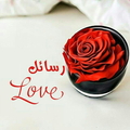 Crazy love letters