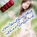 Urdu Poetry photos frame 2018 APK