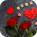 Love Rose