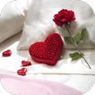 love rose pic